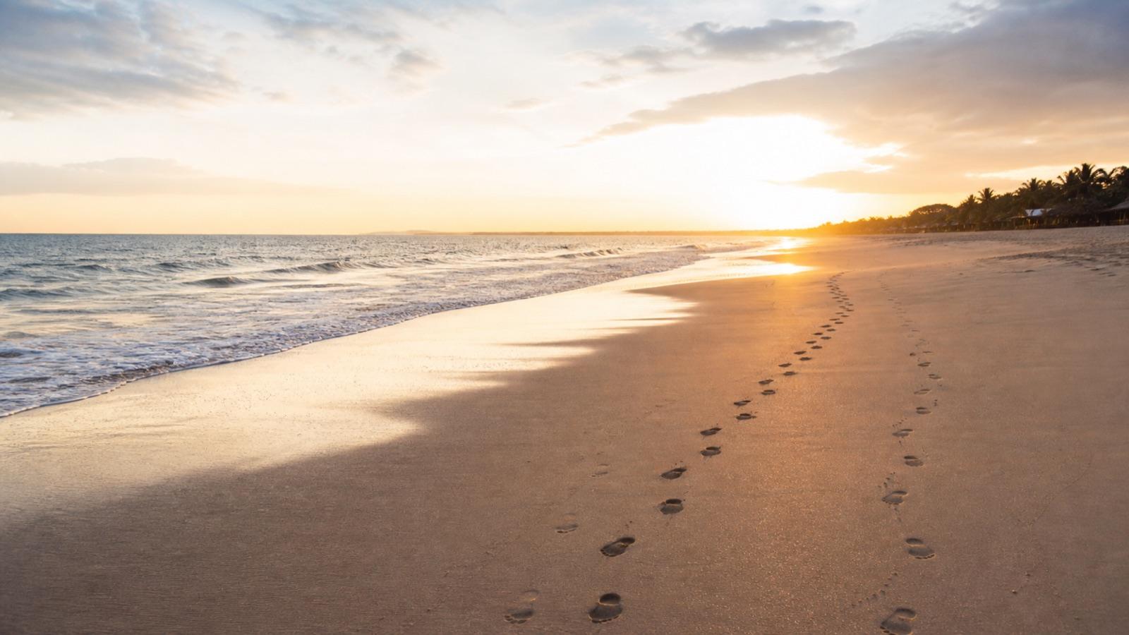 Two trails of footprints along a quiet beach in golden light